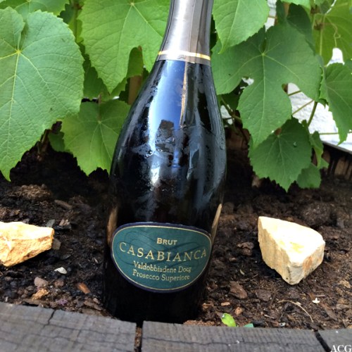 halvflaske prosecco