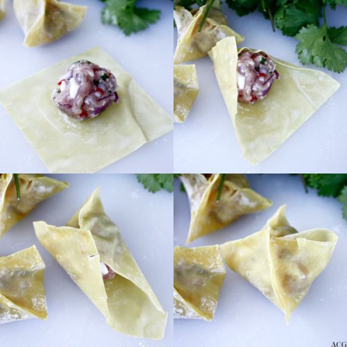 wonton_steps